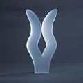 vesica